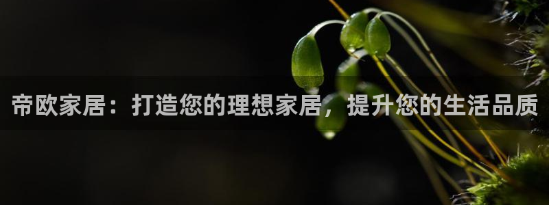 ug环球正网包杀