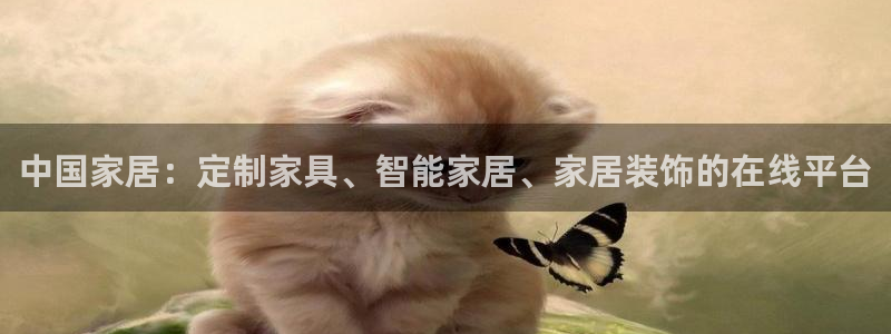 UG环球假网一比一包杀网