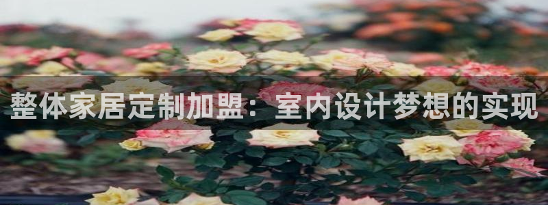 ug环球会员官网