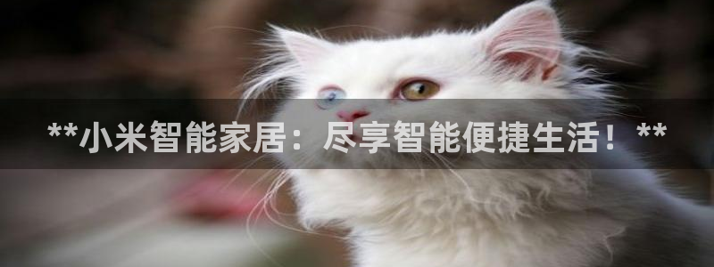 ug环球好假