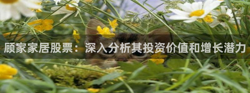 ug环球正网