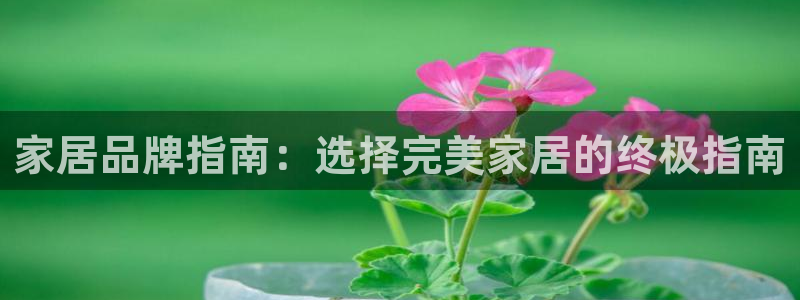 ug环球会员手机版下载官网