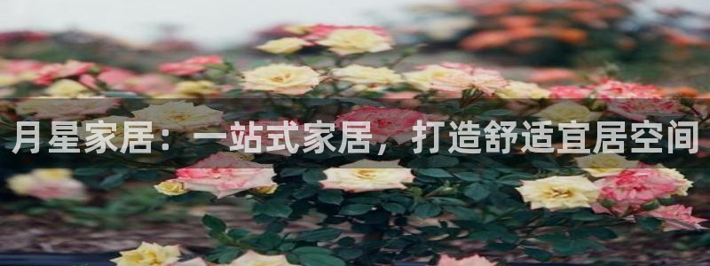 ug环球会员手机版下载
