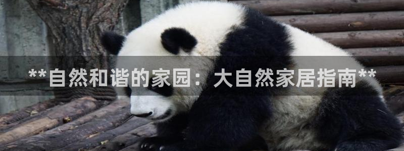 ug环球视讯