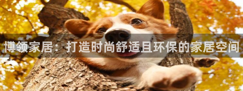 ug环球官网注册会员