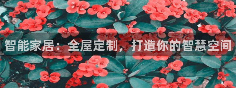 ug环球360官网
