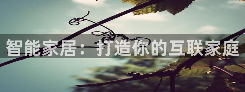 ug环球官网会员登录
