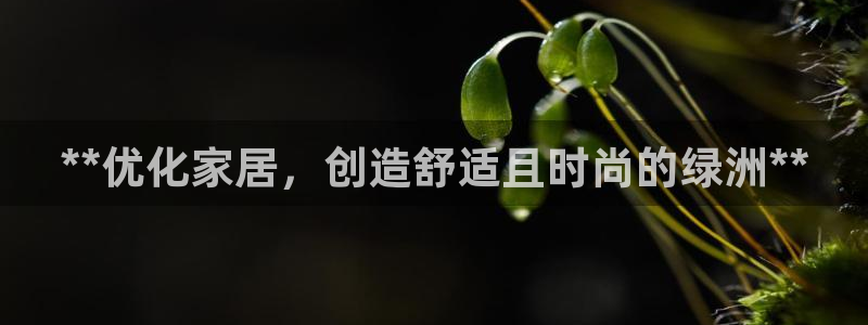 ug环球会员手机版下载官网