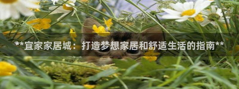 ug环球国际360