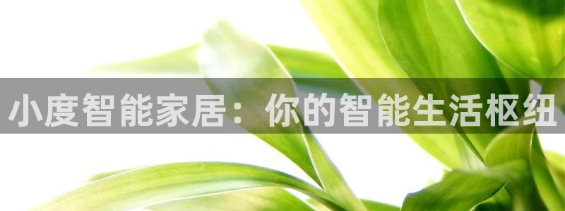 ug环球代理合作