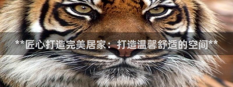 ug环球找唯xkk 908