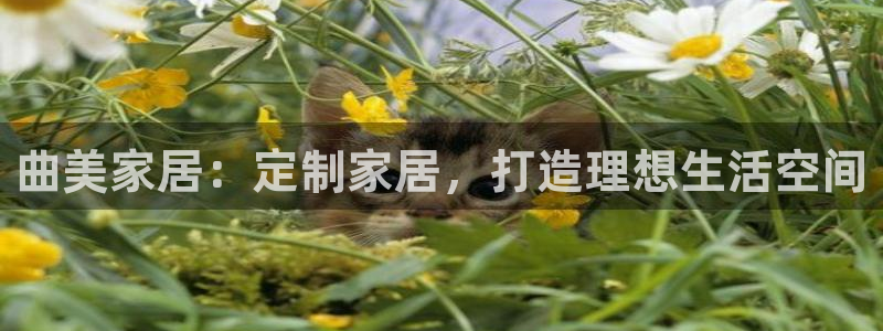 ug环球游戏网站