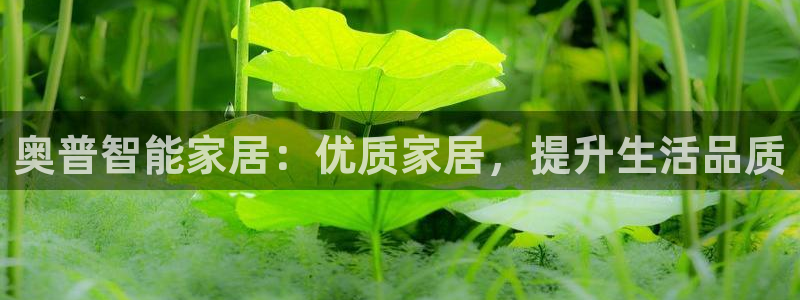 ug环球官网合作
