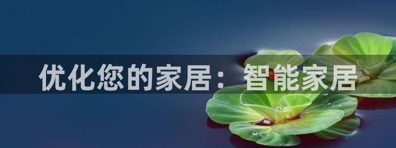 ug环球国际买分