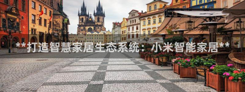 ug环球官网会员