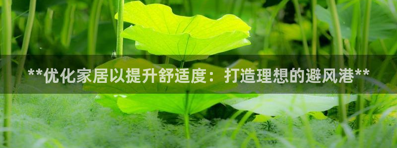 ug环球官网代理