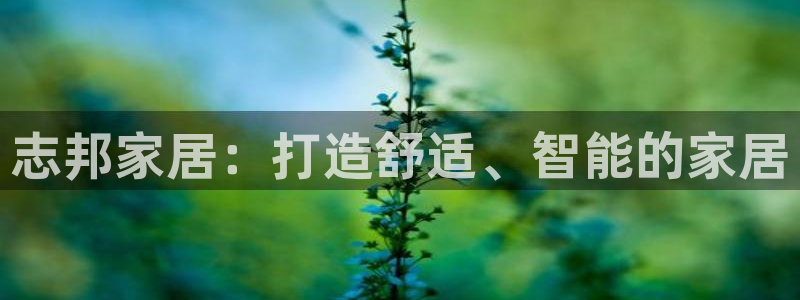 ug环球正网一比一