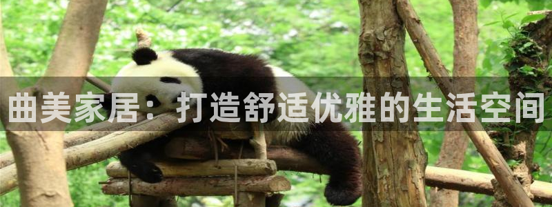 UG环球视讯