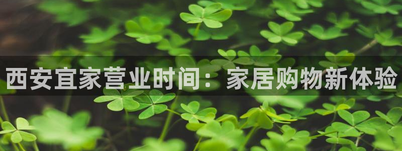ug环球代理平台