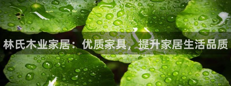 ug环球代理开户