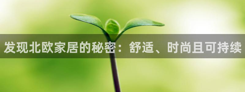 ug环球正网买分