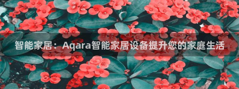 Ug环球网网址