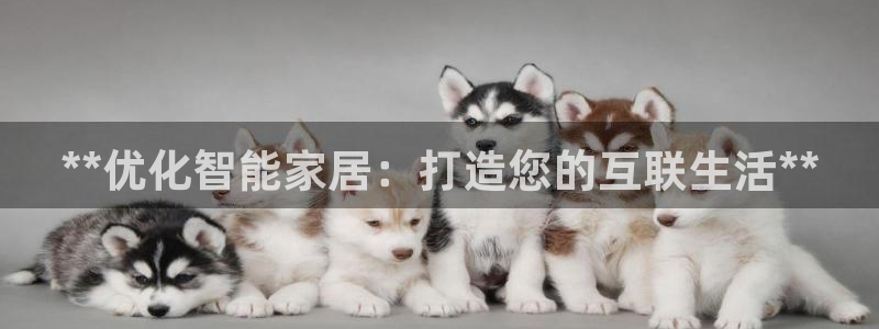 ug环球国际买分