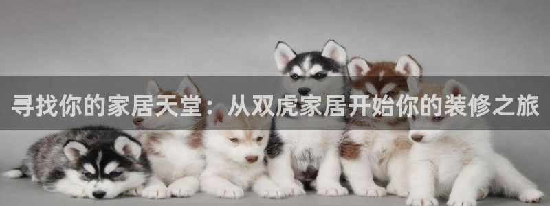 ug环球正网买分