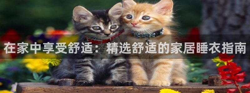 UG环球假网一比一包杀网