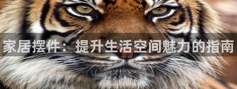 ug环球会员手机版下载