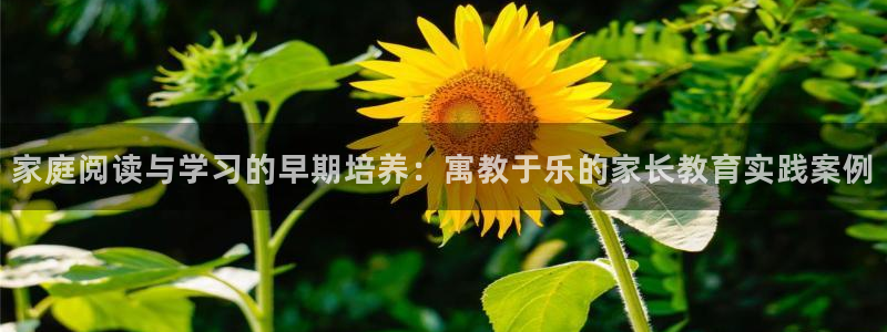 ug环球信用盘
