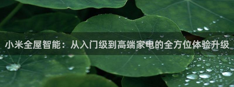 环球ug死网