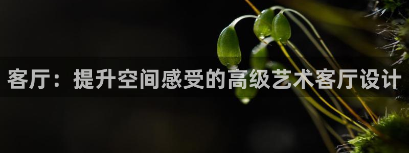 ug环球在线开户