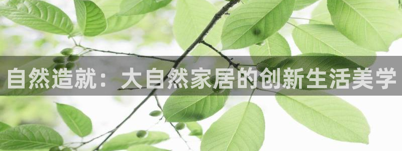 ug环球视讯