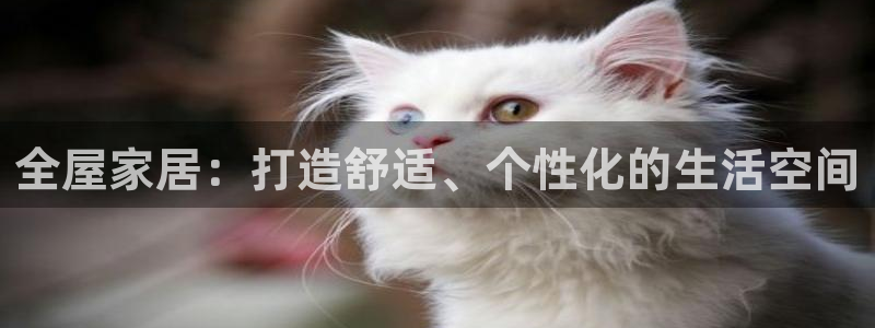 ug环球视讯官网