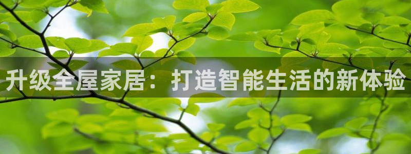 ug环球官网会员