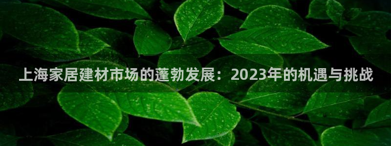 ug环球官网开户