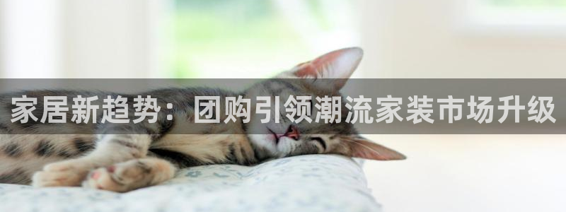 ug环球信用盘