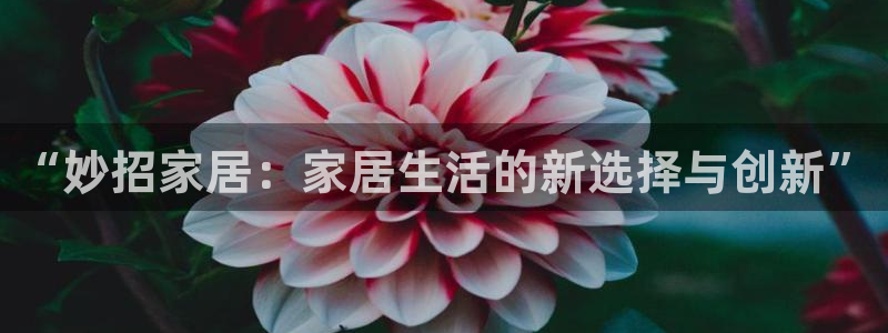 UG环球官方网