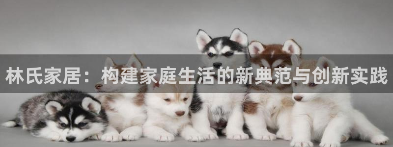 ug环球官网入口