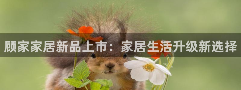 ug环球视讯官网登录入口