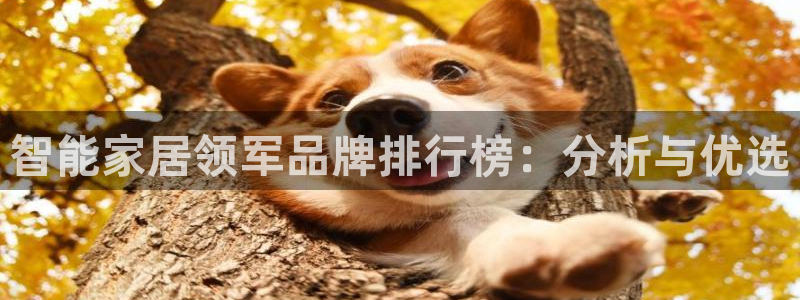 环球ug登录网站app