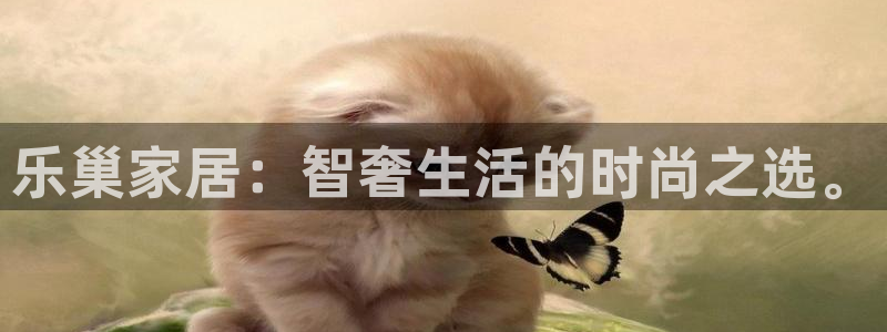 ug环球代理合作