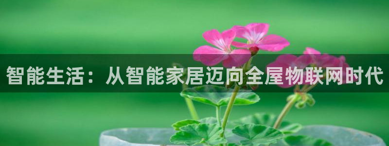 ug环球视讯手机版官网