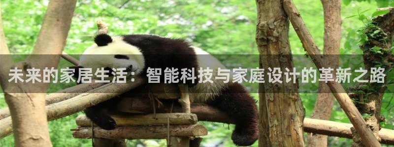 ug环球官网会员注册