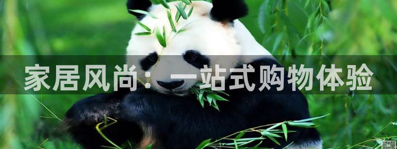 ug环球官网注册会员登录