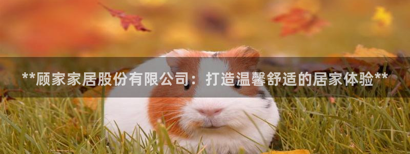 UG环球代理合作