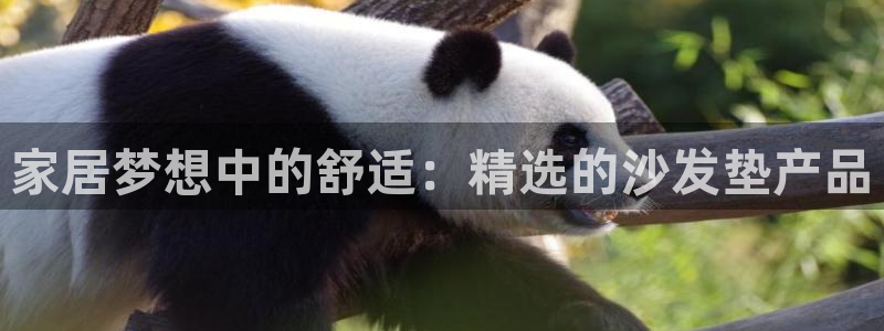 ug环球密码重置是多少位数啊