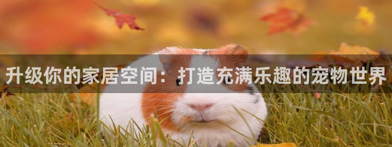 ug环球视讯官网网址